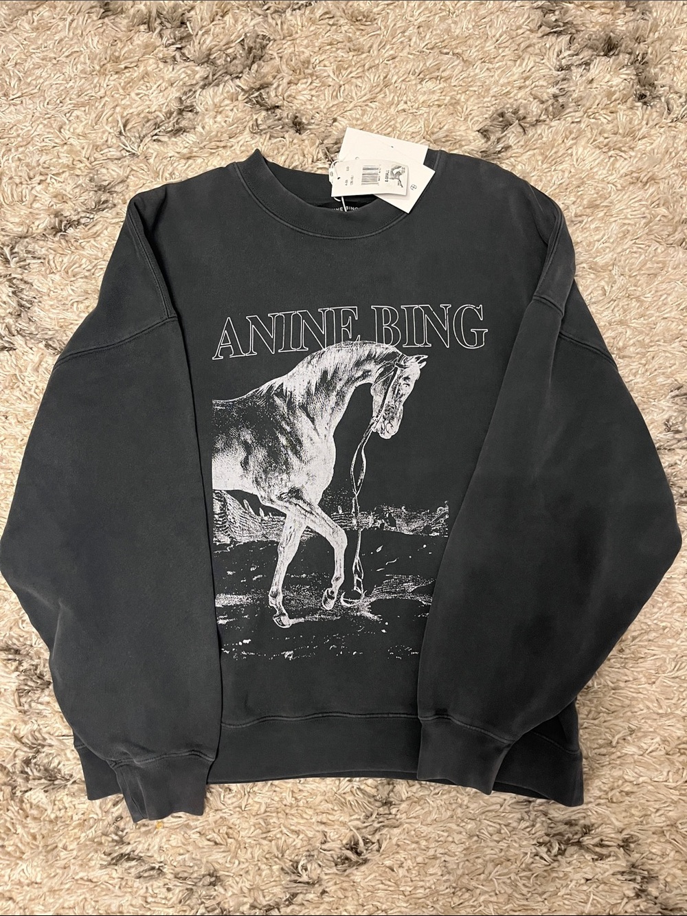 Anine Bing Miles sweatshirt. Size xs. Washed black. New with tags.
